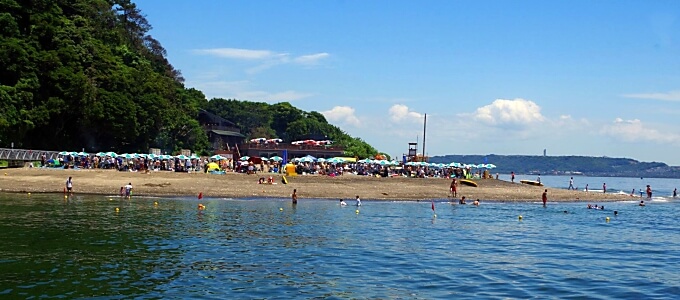 猿島bbq デジキュー q場